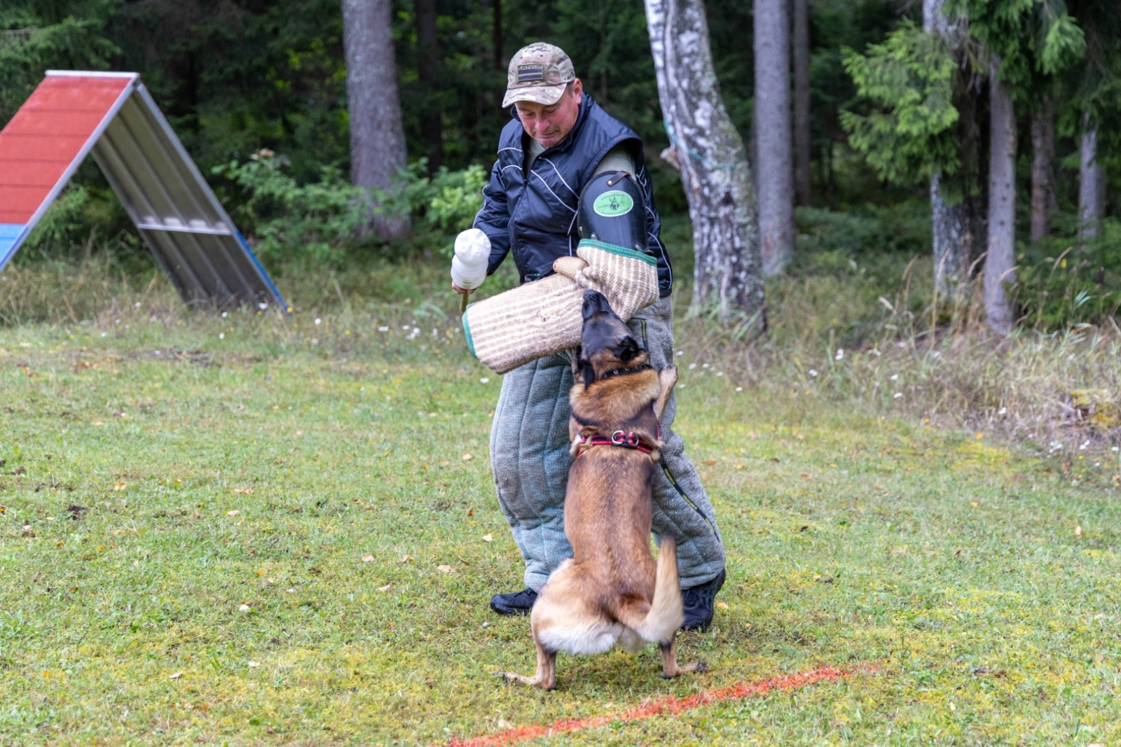 XVIII starptautiskā kinologu biatlona “LATVIJA 2026” sacensības foto