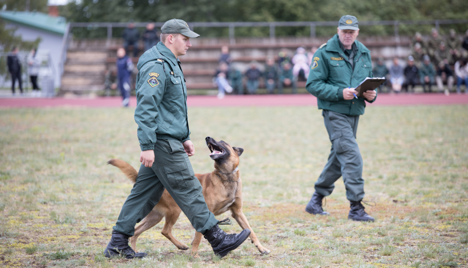 XXV VRS kinologu sacensību informatīvais foto 