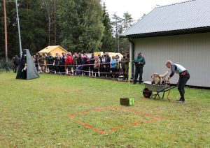 Stiprākie kinologi un dienesta suņi sacenšas biatlonā