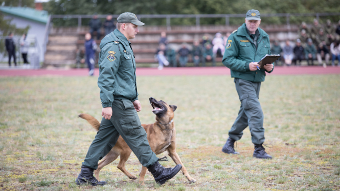 XXV VRS kinologu sacensību informatīvais foto 