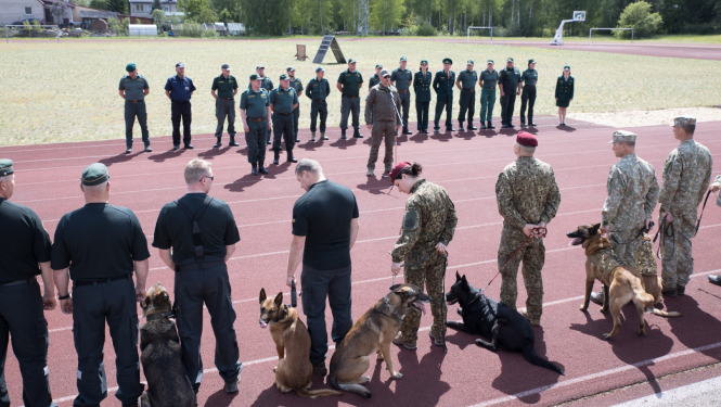 Atklātas Valsts robežsardzes kinologu sacensības