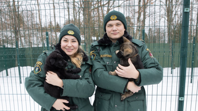 Kā kļūt par robežsardzes kinologu?