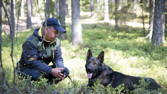 Kinologi un dienesta suņi demonstrē prasmes XXIV Valsts robežsardzes sacensībās Nr.2
