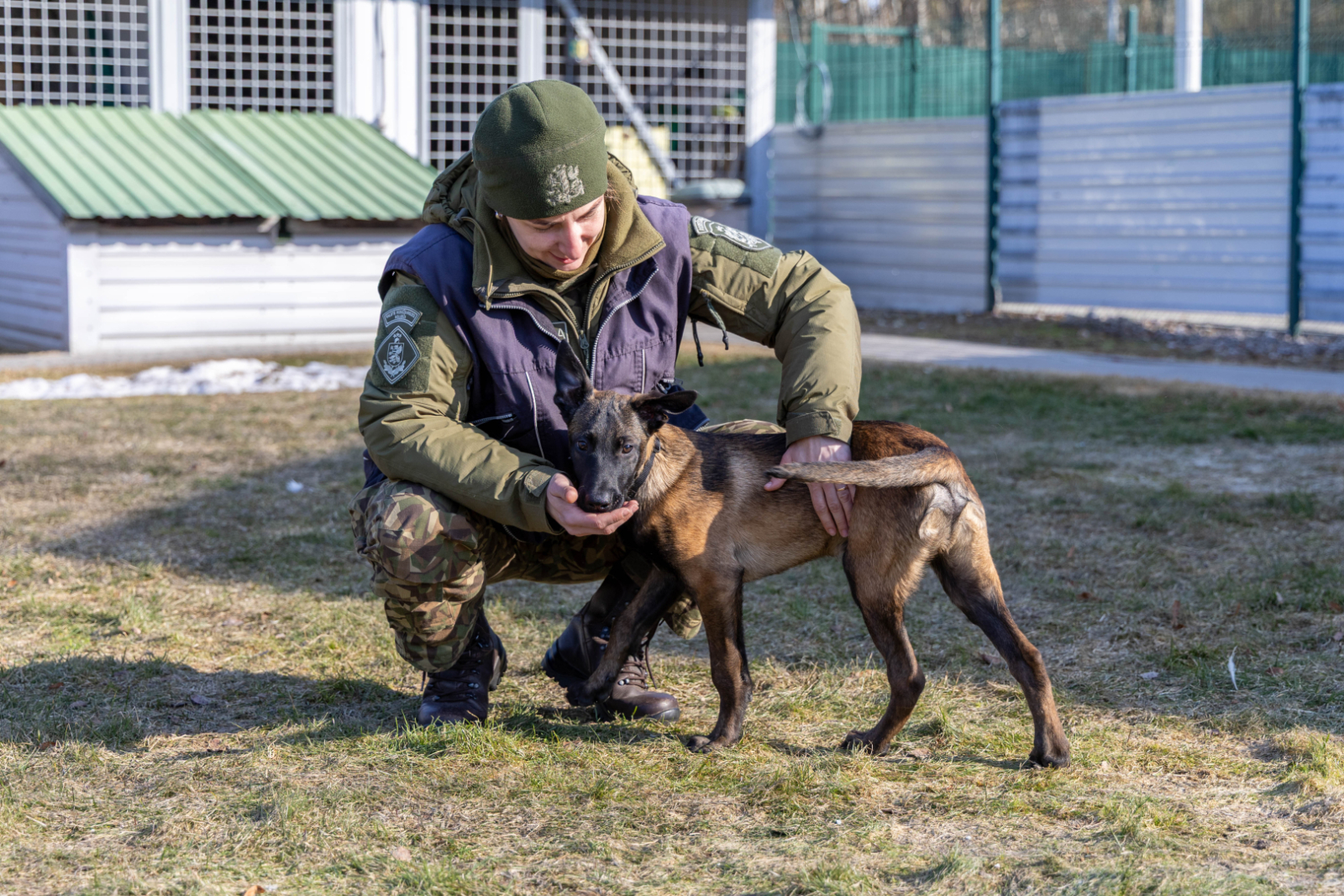 Valsts robežsardzes koledžā iegādāti jauni kucēni