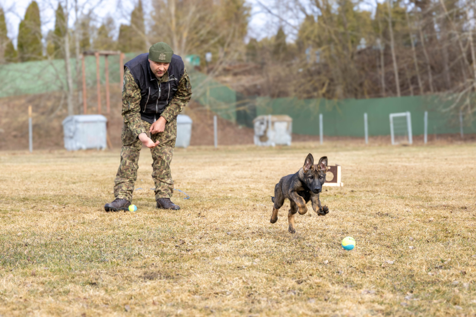 Valsts robežsardzes koledžā iegādāti jauni kucēni